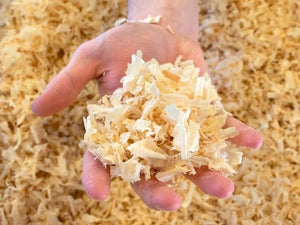 zirbenspäne in geöffneter Hand