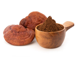 zwei frische Reisei-Pilze und ein Messlöffel mit Reishi-Extrakt